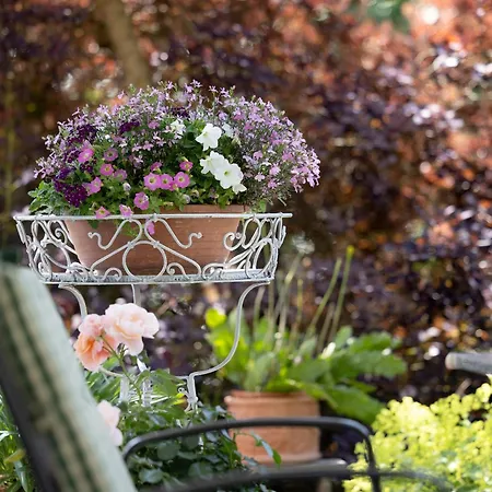 Waltraud Lägenhet Tieringen