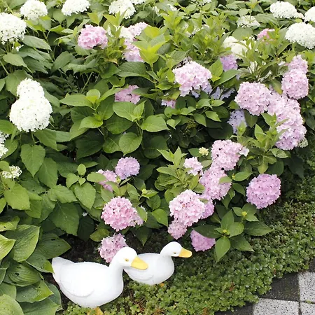 Waltraud Lägenhet Tieringen