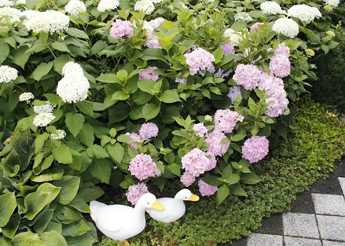 Waltraud Apartmán Tieringen